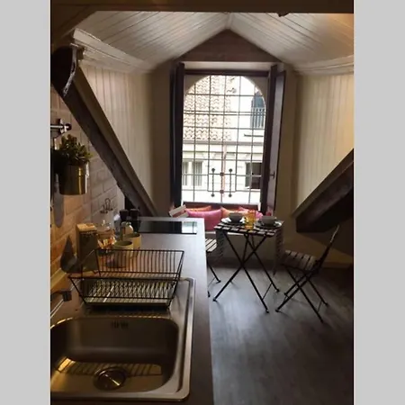 Apartment Mansarda Nel Cuore Della Citta *